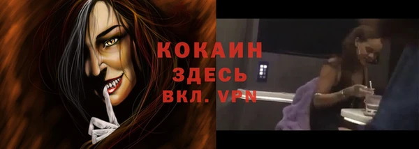 кокс Бородино