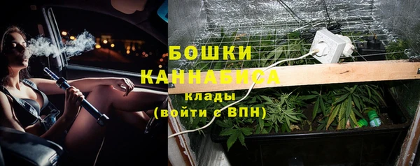 кокс Бородино