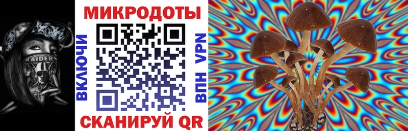 цены наркотик  Архангельск  Галлюциногенные грибы Magic Shrooms 